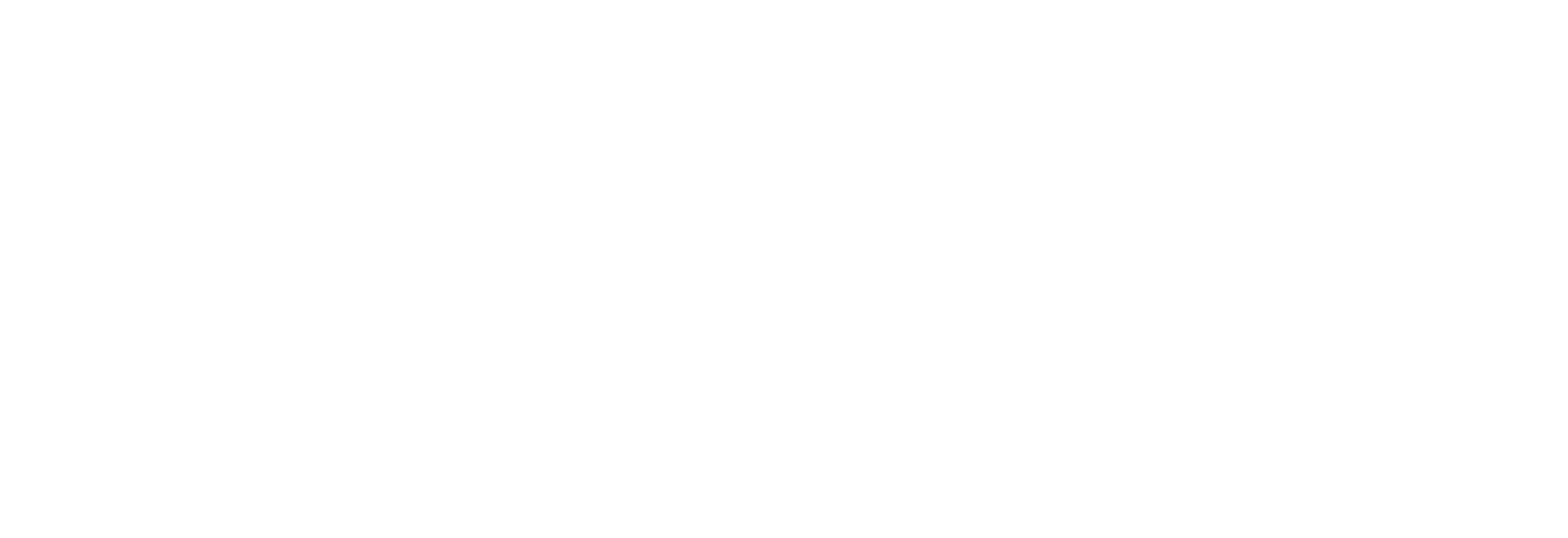 White company logo on dark grey background