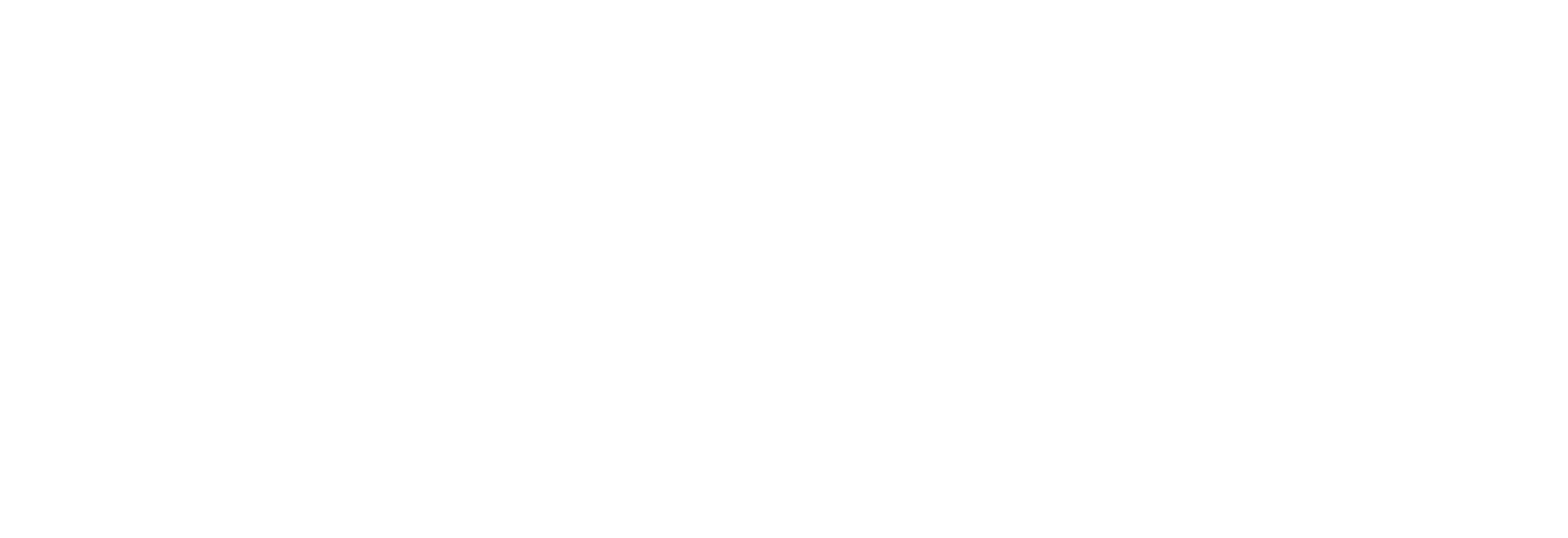White logo on dark grey - CORRECT